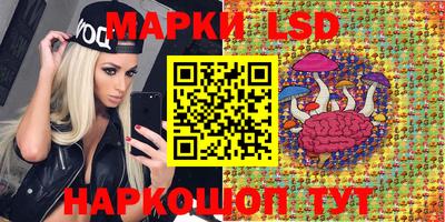 spice Дубна