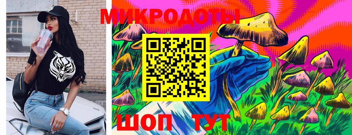 Псилоцибиновые грибы GOLDEN TEACHER Кушва