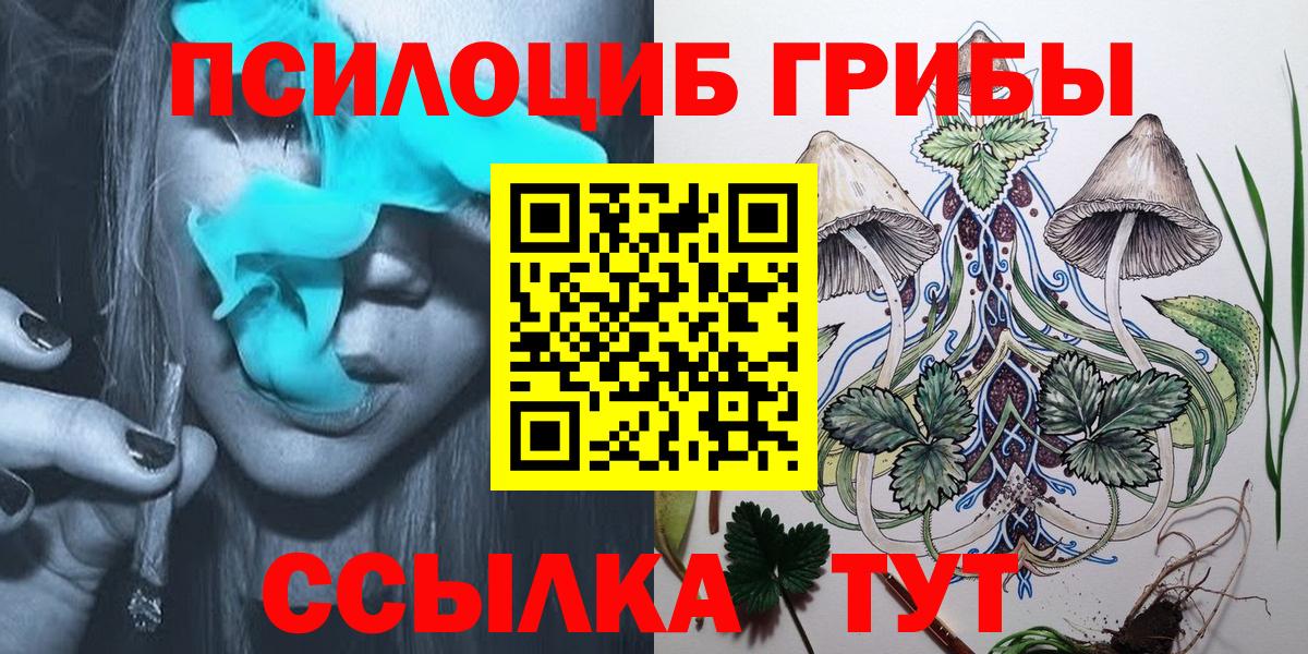 купить   Галлюциногенные грибы Psilocybine cubensis  Вход с VPN  Галлюциногенные грибы мицелий  Кушва 